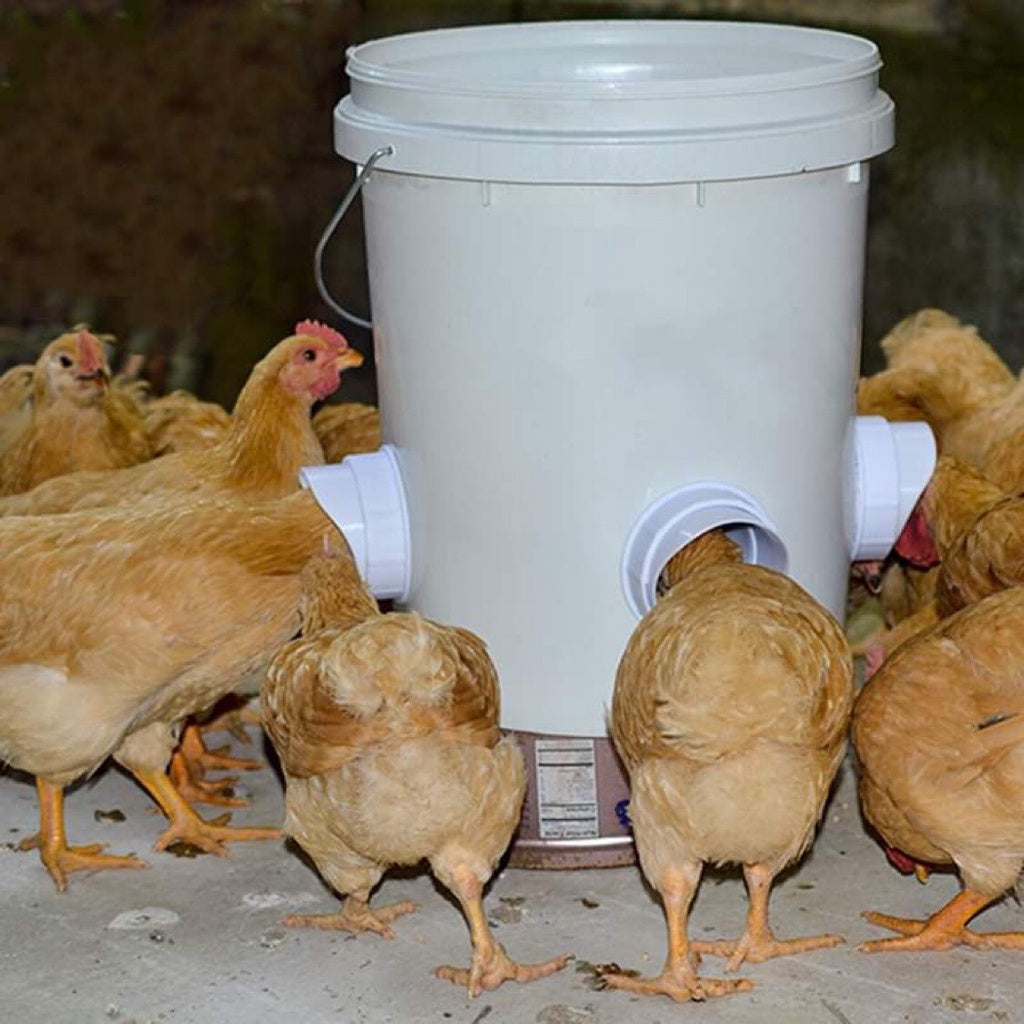 Poultry Feeder Port