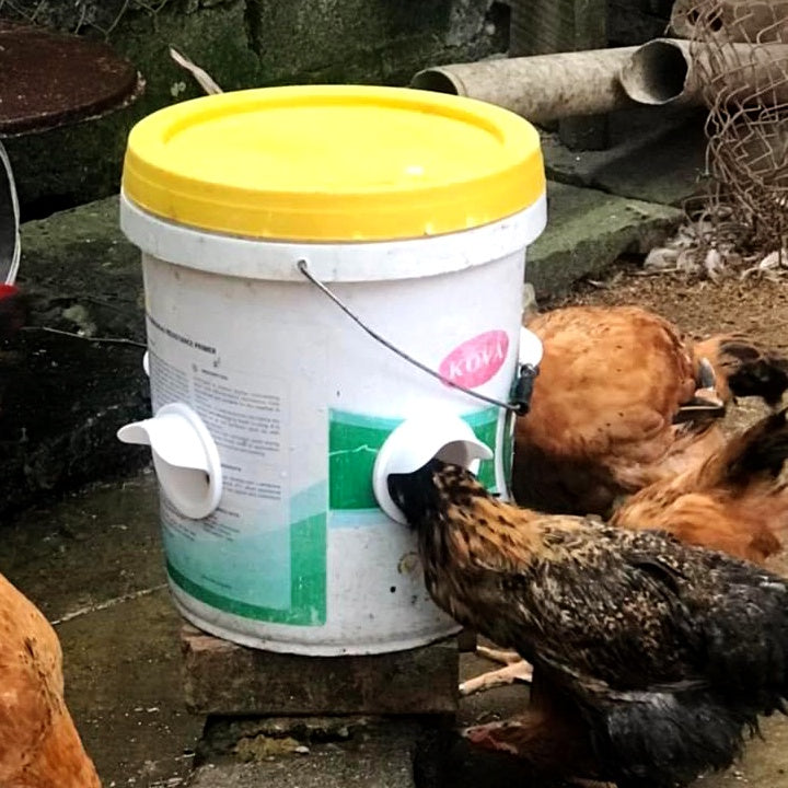 Poultry Feeder Port