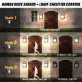 Solar decorative lights