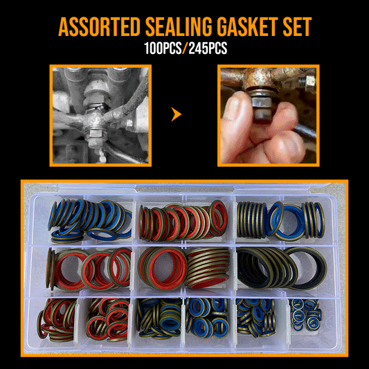 100pcs Assorted Sealing Gasket Set