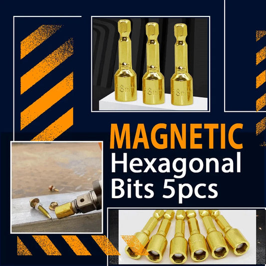 Magnetic Hexagonal Bit